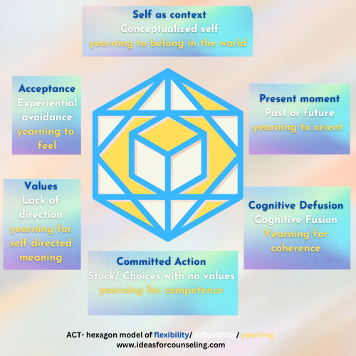 ACT hexaflex: self as context, cognitive defusion, acceptance, contact with the present moment, committed action, and values 